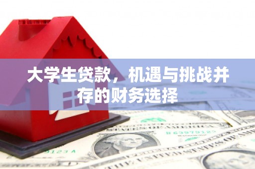 万峦大学生贷款，机遇与挑战并存的财务选择