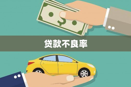 林甸贷款不良率