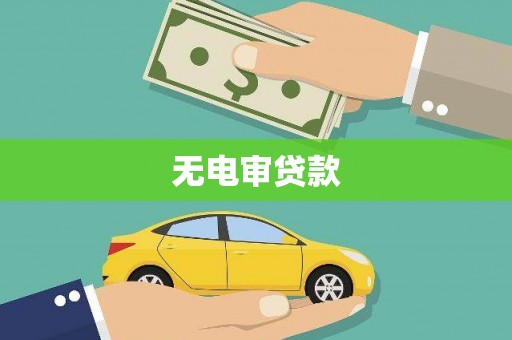 永年无电审贷款