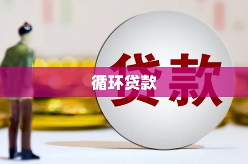 剑阁循环贷款
