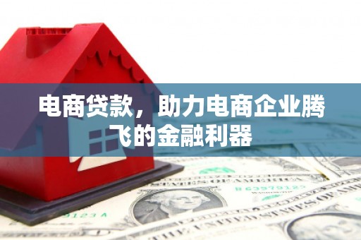 滁州电商贷款，助力电商企业腾飞的金融利器