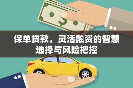 雄安新区保单贷款，灵活融资的智慧选择与风险把控