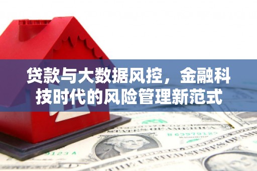 阳春贷款与大数据风控，金融科技时代的风险管理新范式