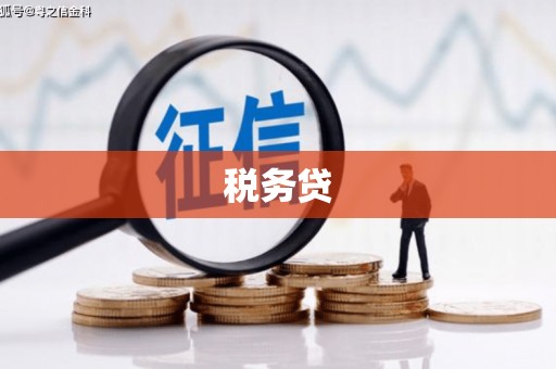 六龟税务贷