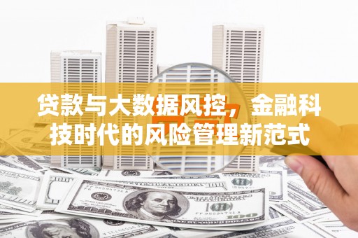 长葛贷款与大数据风控，金融科技时代的风险管理新范式