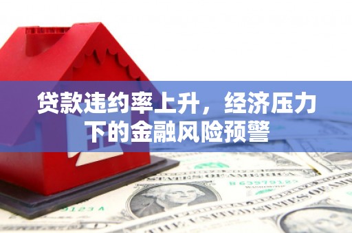 复兴贷款违约率上升，经济压力下的金融风险预警