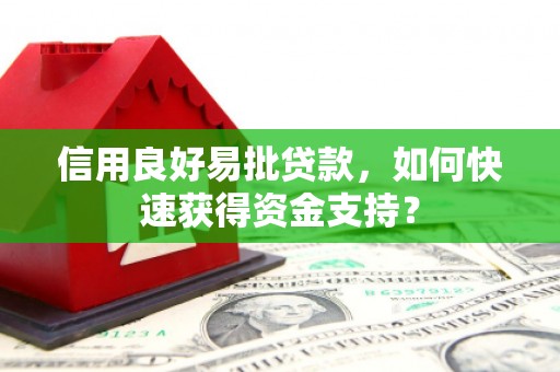 南山信用良好易批贷款，如何快速获得资金支持？