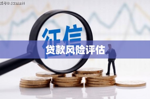 高碑店贷款风险评估