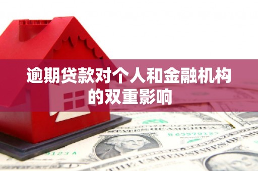 太和逾期贷款对个人和金融机构的双重影响