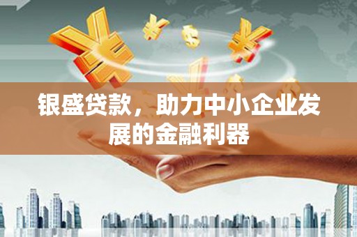纳雍银盛贷款，助力中小企业发展的金融利器