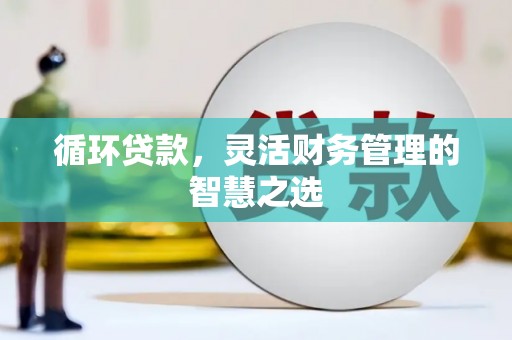 黟县循环贷款，灵活财务管理的智慧之选