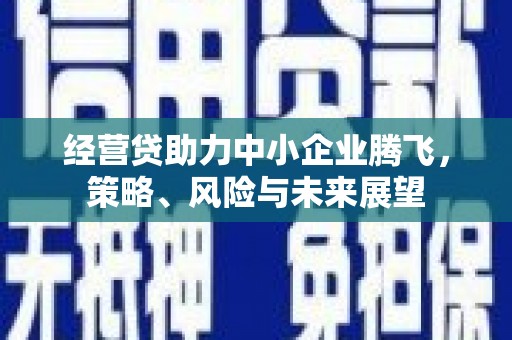 徐水经营贷助力中小企业腾飞，策略、风险与未来展望