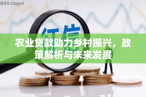 嘉禾农业贷款助力乡村振兴，政策解析与未来发展