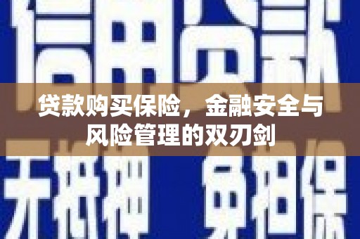咸宁贷款购买保险，金融安全与风险管理的双刃剑