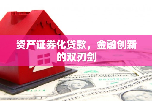武侯资产证券化贷款，金融创新的双刃剑
