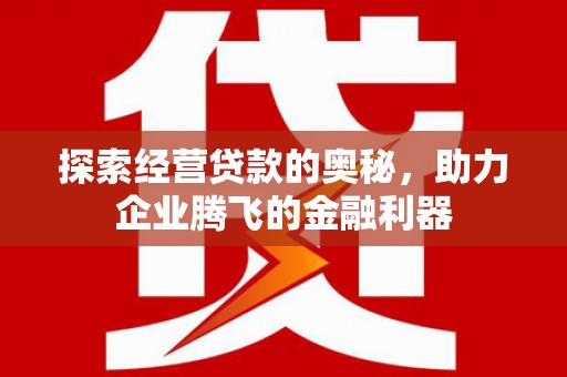 沙湾探索经营贷款的奥秘，助力企业腾飞的金融利器