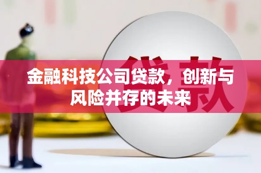 贾汪金融科技公司贷款，创新与风险并存的未来