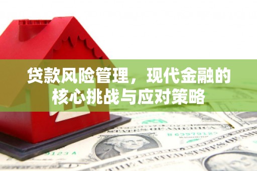 平谷贷款风险管理，现代金融的核心挑战与应对策略