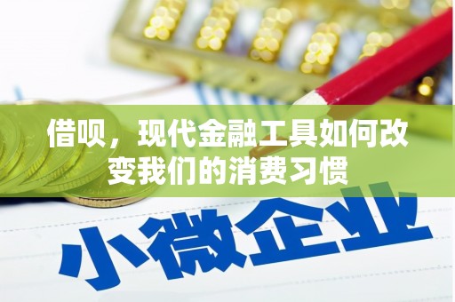 务川借呗，现代金融工具如何改变我们的消费习惯