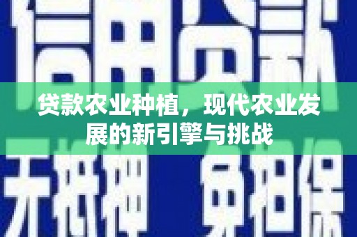 兴安贷款农业种植，现代农业发展的新引擎与挑战