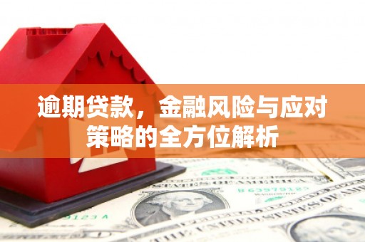 漯河逾期贷款，金融风险与应对策略的全方位解析