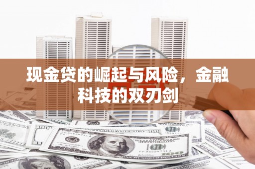 大名现金贷的崛起与风险，金融科技的双刃剑