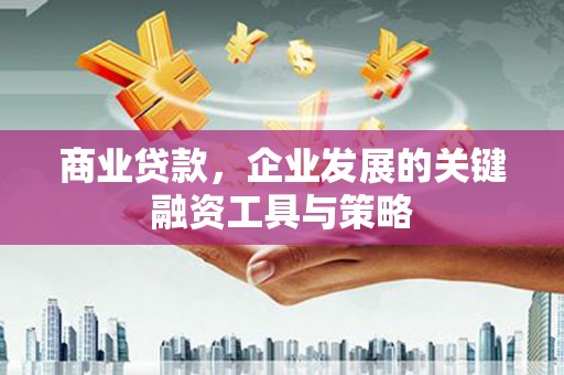 宣威商业贷款，企业发展的关键融资工具与策略