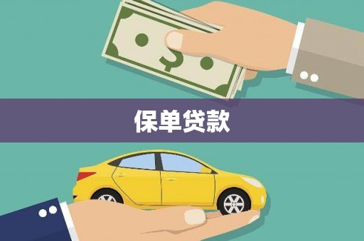 云梦保单贷款