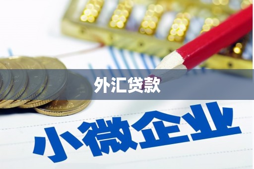 大洼外汇贷款