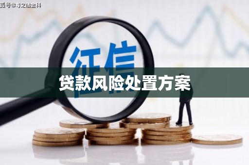 岱山贷款风险处置方案