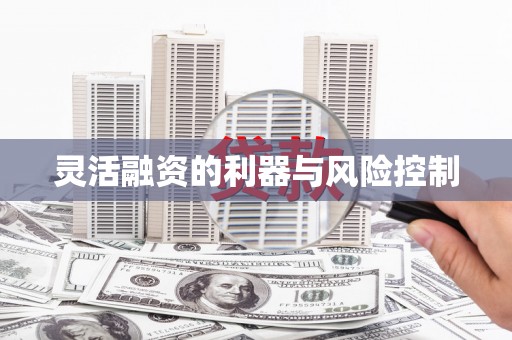 裕民灵活融资的利器与风险控制