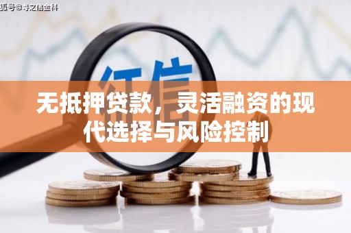 武穴无抵押贷款，灵活融资的现代选择与风险控制