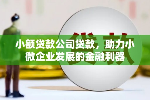 特克斯小额贷款公司贷款，助力小微企业发展的金融利器