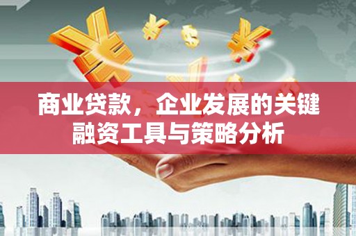乐至商业贷款，企业发展的关键融资工具与策略分析