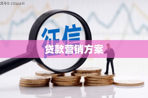 山上贷款营销方案