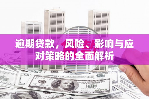 临夏逾期贷款，风险、影响与应对策略的全面解析