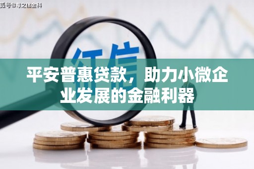 河津平安普惠贷款，助力小微企业发展的金融利器
