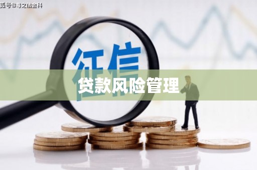 东营贷款风险管理