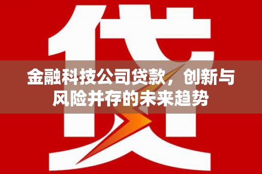鄱阳金融科技公司贷款，创新与风险并存的未来趋势