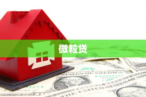 三原微粒贷