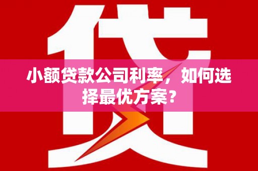 阳东小额贷款公司利率，如何选择最优方案？