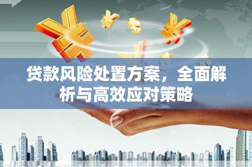 云溪贷款风险处置方案，全面解析与高效应对策略