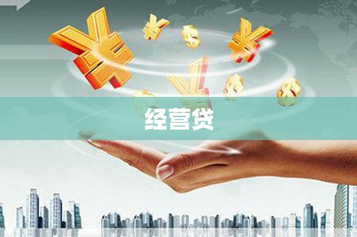 海兴经营贷