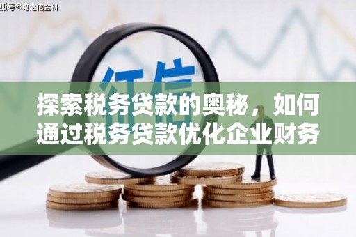 大树探索税务贷款的奥秘，如何通过税务贷款优化企业财务