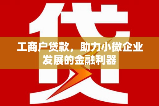 雄县工商户贷款，助力小微企业发展的金融利器