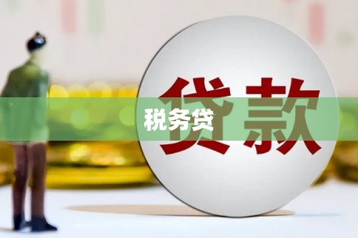 金湖税务贷