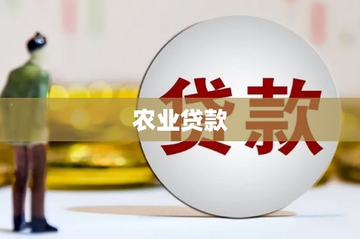 褒忠农业贷款
