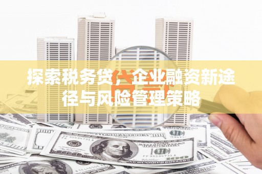 八里探索税务贷，企业融资新途径与风险管理策略