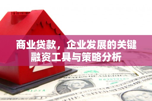 利通商业贷款，企业发展的关键融资工具与策略分析