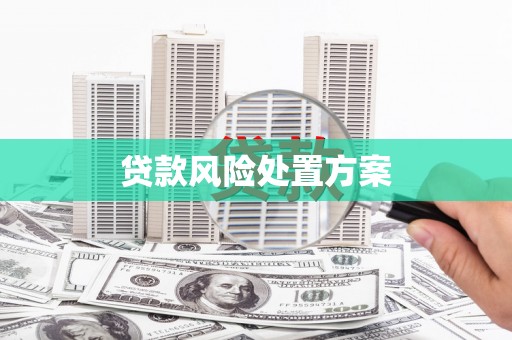 武汉贷款风险处置方案